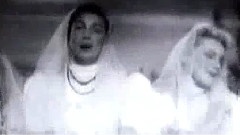 红莓花儿开