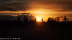Amazing Landscapes