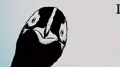 波普先生的企鹅