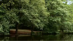 寂静之声 (The Sound Of Silence)