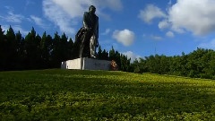春满鹏城 深圳