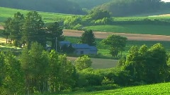 Beautiful Scenery