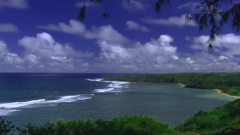 Winds Across The Pacific