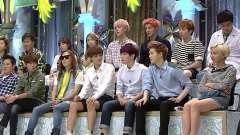 Starking - EXO Cut