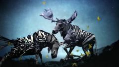 2013 Motion Design Showreel