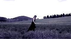 Platonick Dive - Træ