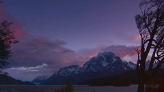 A Place of Stillness