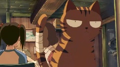 猫的集会
