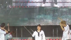 Intro & Wolf