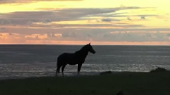 Easter Island