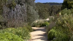 Melbourne Gardens