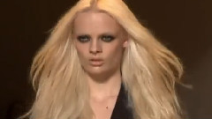 Stef Van Der Laan