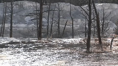 沉思曲