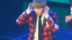 Wolf & Growl
