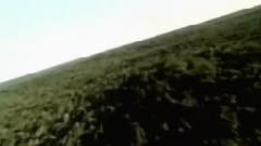 宝瓶座记忆