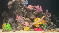 海底世界
