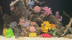 海底世界