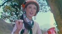 长湖水 清又凉