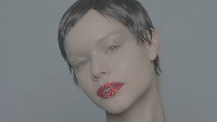 Haute Couture Spring Summer 2013