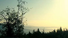 Morning is Coming