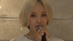 Starnews Korea