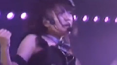 恋愛禁止条例
