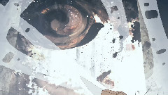 Pictor Cochlea