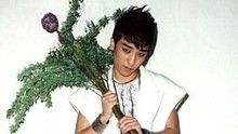 BigBang - Haru Haru  音乐中心2008.12.27版