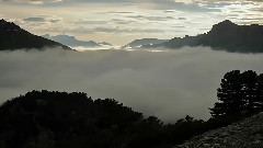 野性欧洲