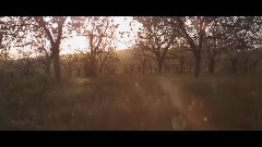 Havasi - Spring Wind - Cultural Bridge Symphony