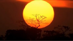 太阳河之结束