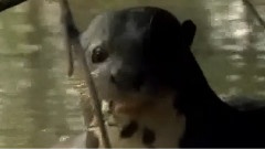 太阳河之水濑一家