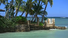 Aloha Oe 珍重再见