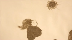 云树