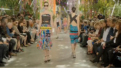 Christian Dior Spring Summer 2014 Collection