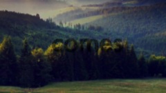 Tomorrow Comes