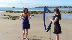 Titanic Theme Song My Heart Will Go On Harp Violin