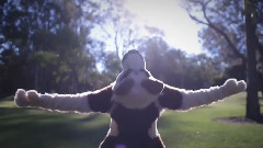 Slow Motion Fursuit Fun