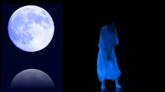 Feel The Moon