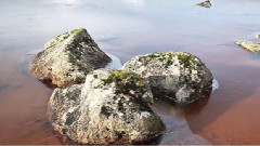 Hymn Of Life