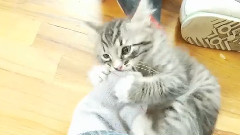 Camera Ops Get Attacked