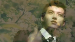 少年不戴花