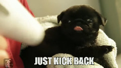 Don't Worry