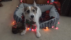 Santa's Gift