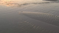 南方的海