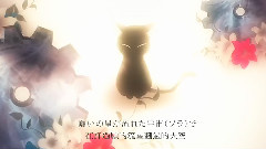 黒猫