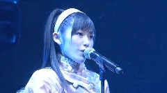 てもでもの淚