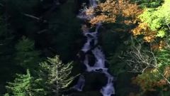 Variations On A Theme From Pachelbel S Canon In D Major