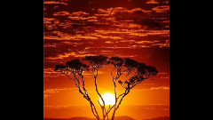 夕阳颂