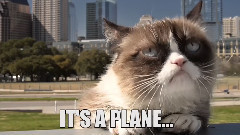 Grumpy Cat In The Sky!